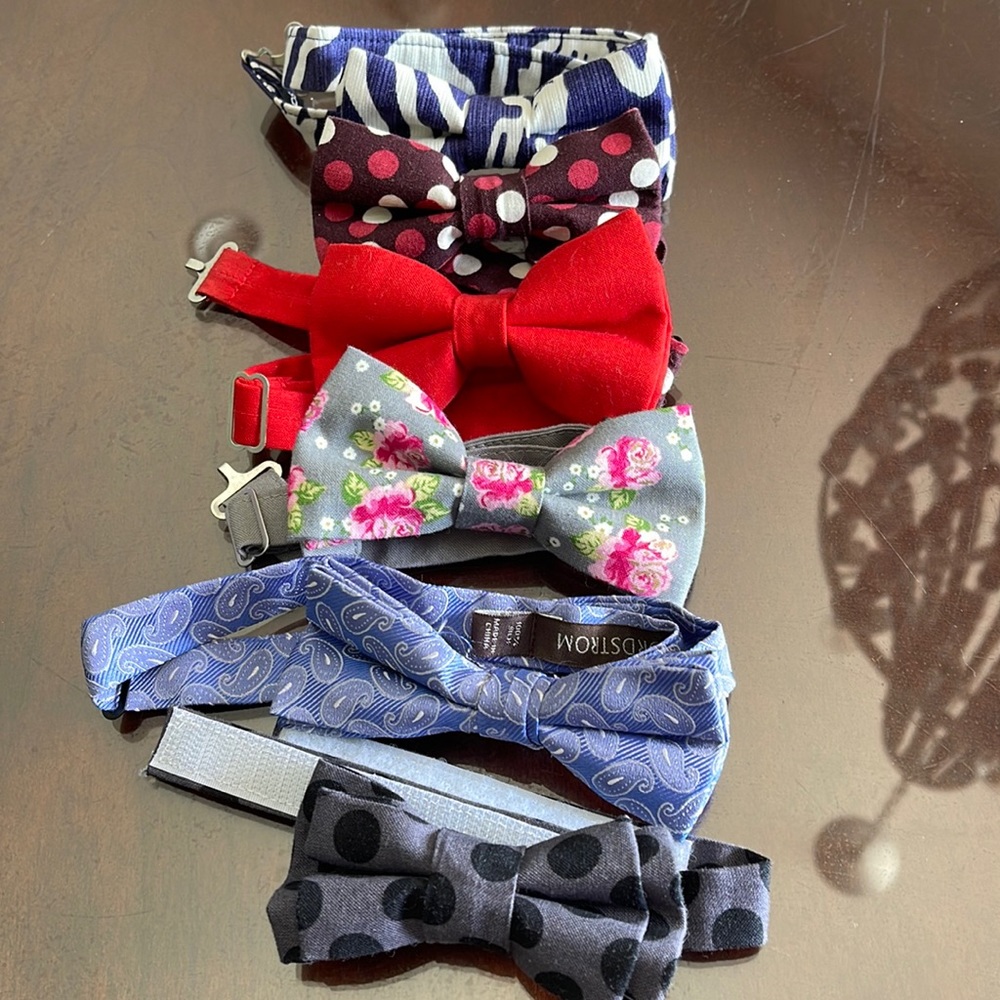 Set of 6 boys bow ties